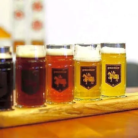 Ctkir普洛布斯啤酒酒店 公寓式酒店 Oława