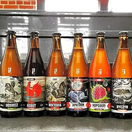 公寓式酒店 Ctkir普洛布斯啤酒酒店 3*