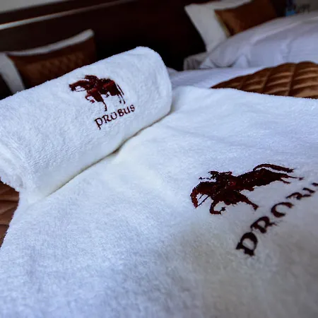 Ctkir Browar Probus Hotel apartamentowy Oława