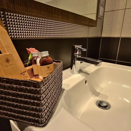 Ctkir Browar Probus 3* Олава