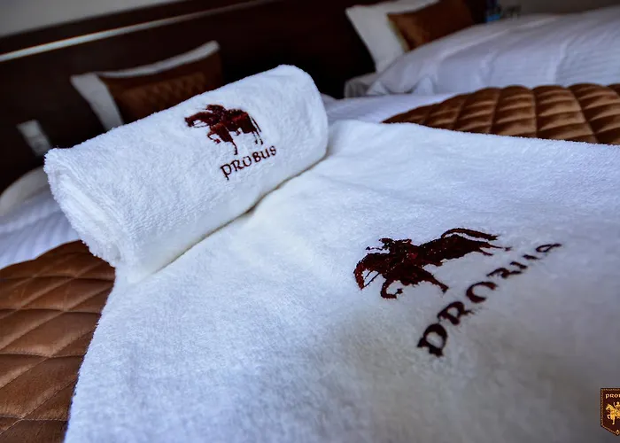 Ctkir Browar Probus Aparthotel Olawa